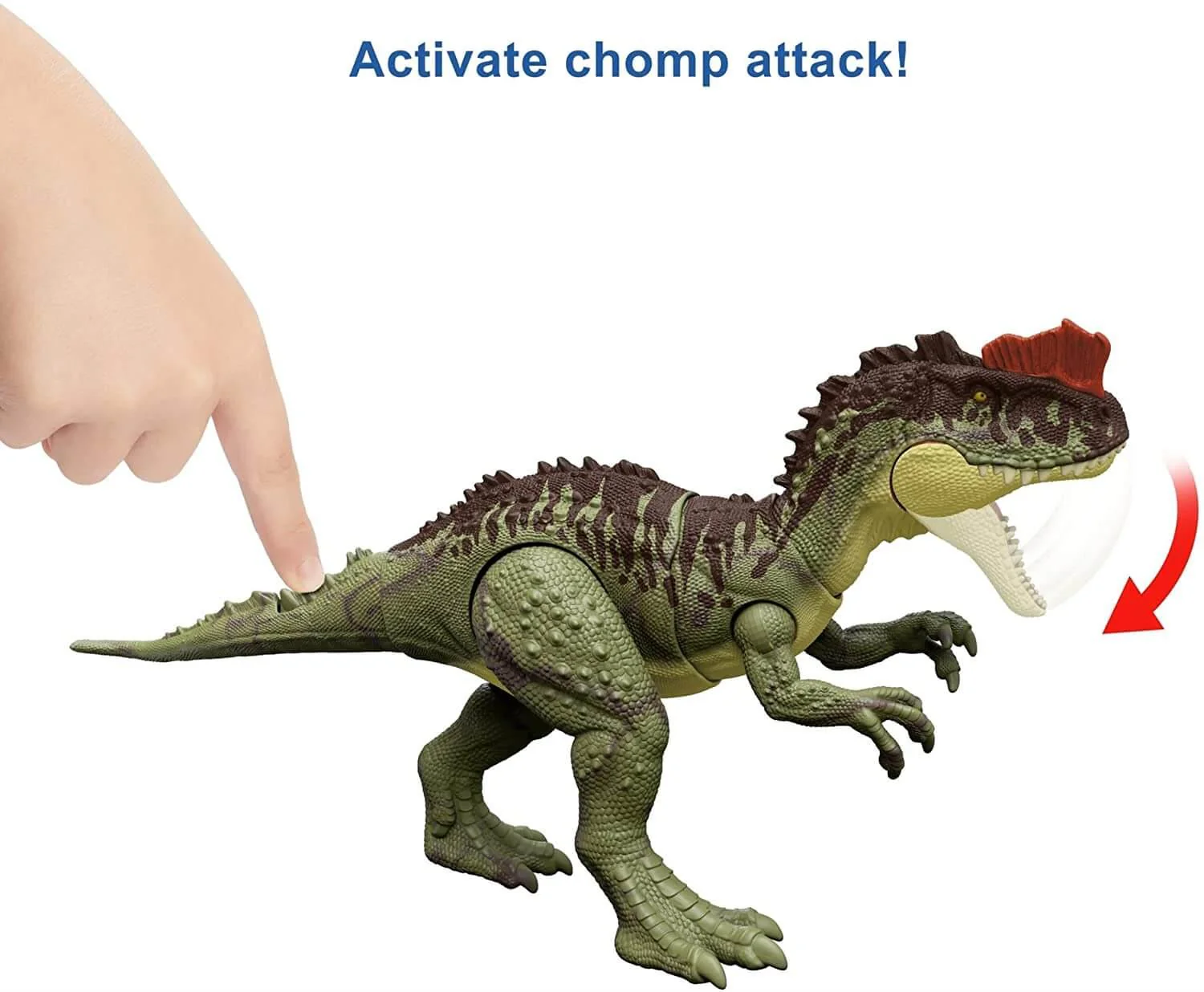 Thumb 4
