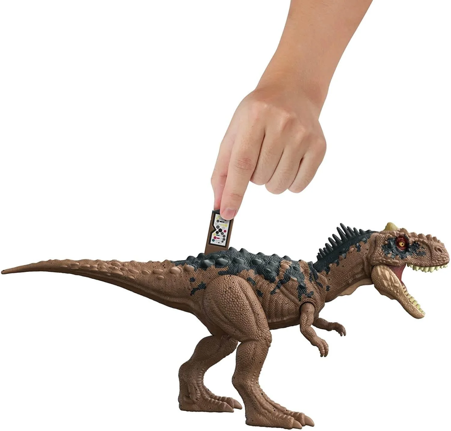 Thumb 5