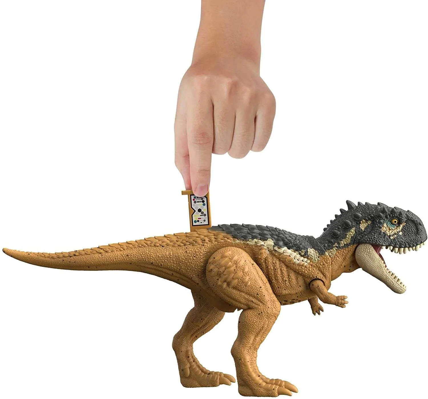 Thumb 5
